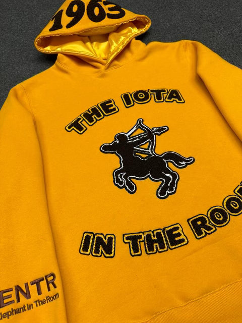 "The Iota In The Room" (Pre Order)